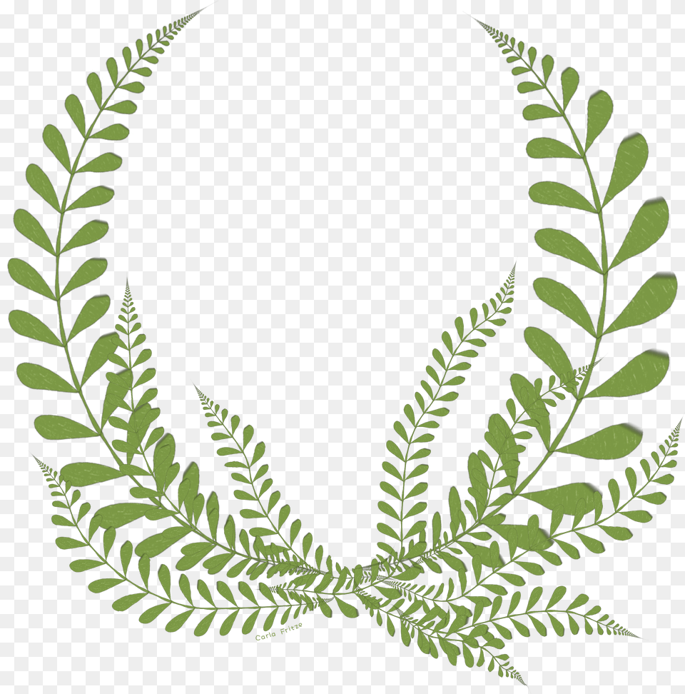 Leaves Fern Floral Wreath Freetoedit Silver Stevie Award 2019, Green, Leaf, Plant, Herbal Free Png Download