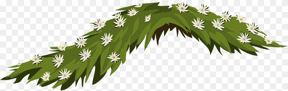 Leaves Flowers, Plant, Green, Accessories, Grass Free Png