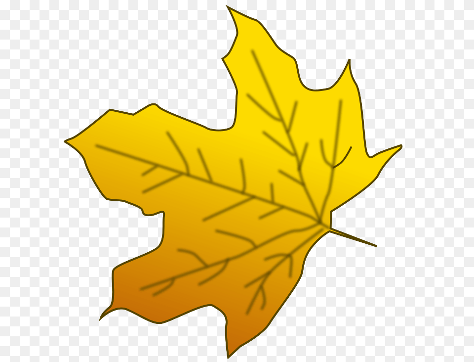 Leaves Free Download Vector, Leaf, Maple Leaf, Plant, Tree Png Image