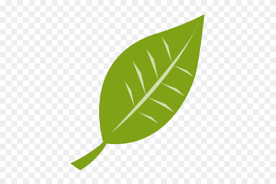 Leaves Grass Clip Art Material Illustration Image, Leaf, Plant, Animal, Fish Free Transparent Png