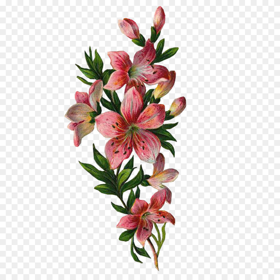Leaves Green Kpopedit Edits Edit Overlay Flower Spr, Plant, Flower Arrangement, Flower Bouquet, Petal Free Png