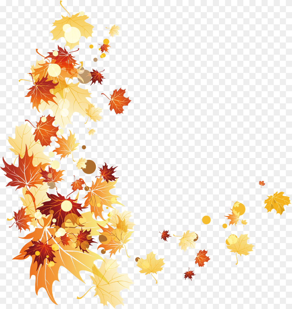 Leaves Hd Background, Leaf, Plant, Tree, Maple Free Transparent Png