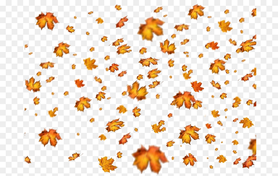 Leaves Images Download Pngmartcom Autumn Fall Leaf, Pattern, Art, Collage, Plant Free Transparent Png