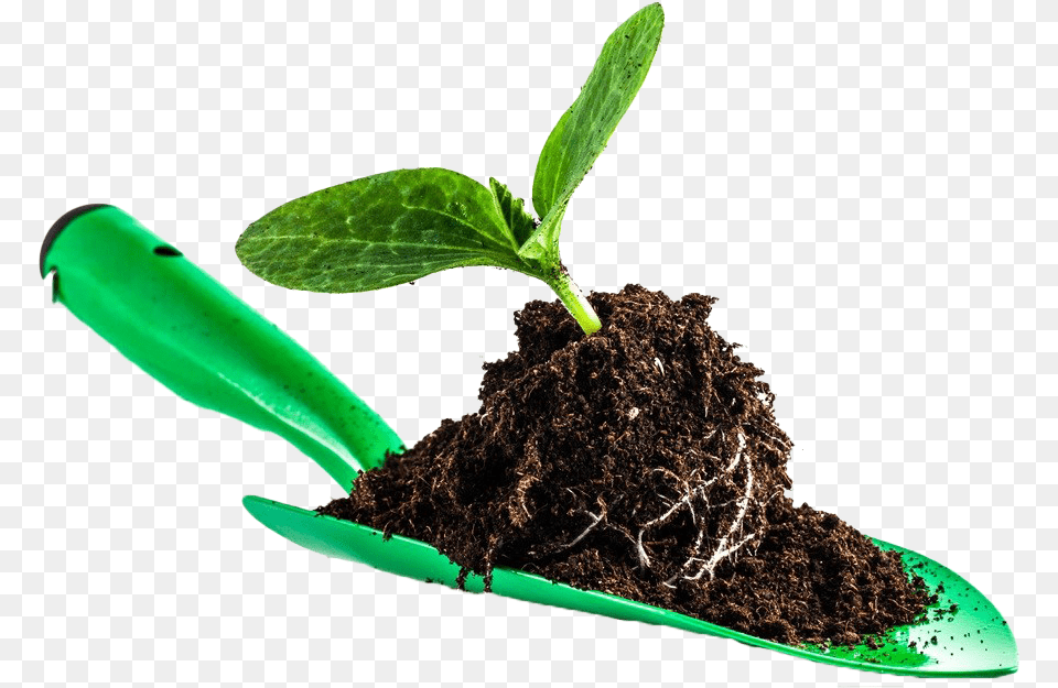 Leaves In Soil Shovel In Soil, Plant, Leaf Png Image