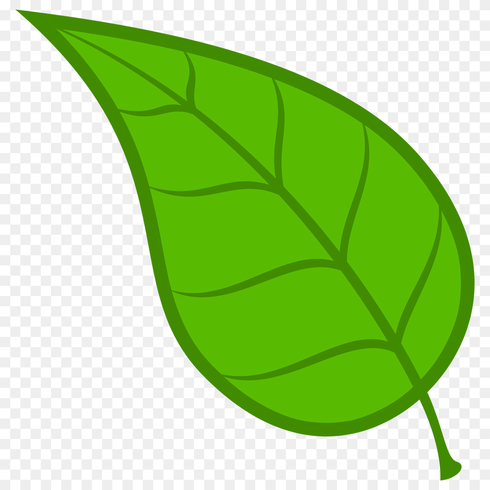 Leaves Leaf Download Clip Art, Plant, Herbs, Mint Free Transparent Png