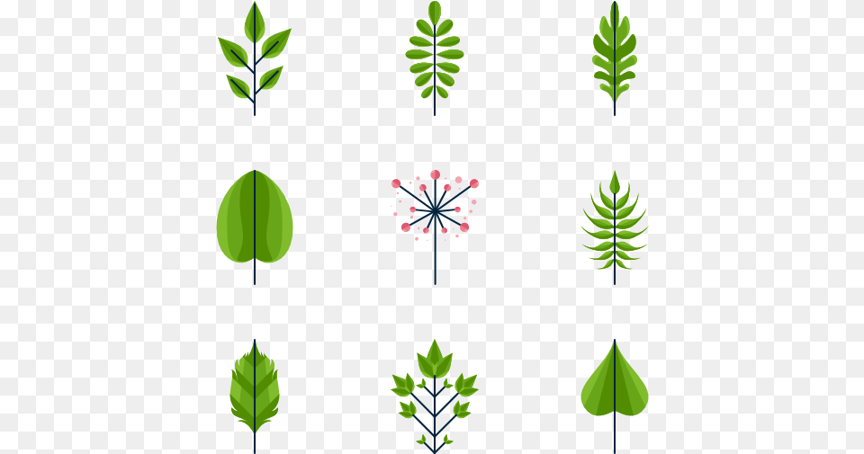 Leaves Leaf Icon, Plant, Flower, Green, Vegetation Png
