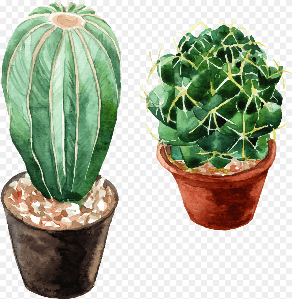 Leaves Leaf Nature Watercolors Watercolor Cactus, Plant, Potted Plant Free Png