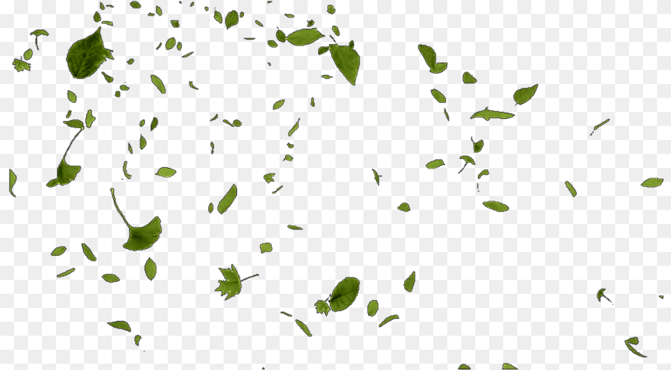 Leaves Leaf Wind Windy Blow Blew Float Drift Green Leaves Blowing In The Wind, Paper, Confetti Png Image