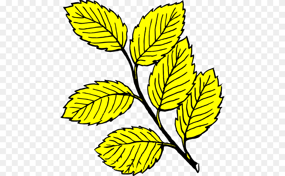 Leaves Light Clip Art At Clker Leaves Drawing With Color, Leaf, Plant Free Transparent Png