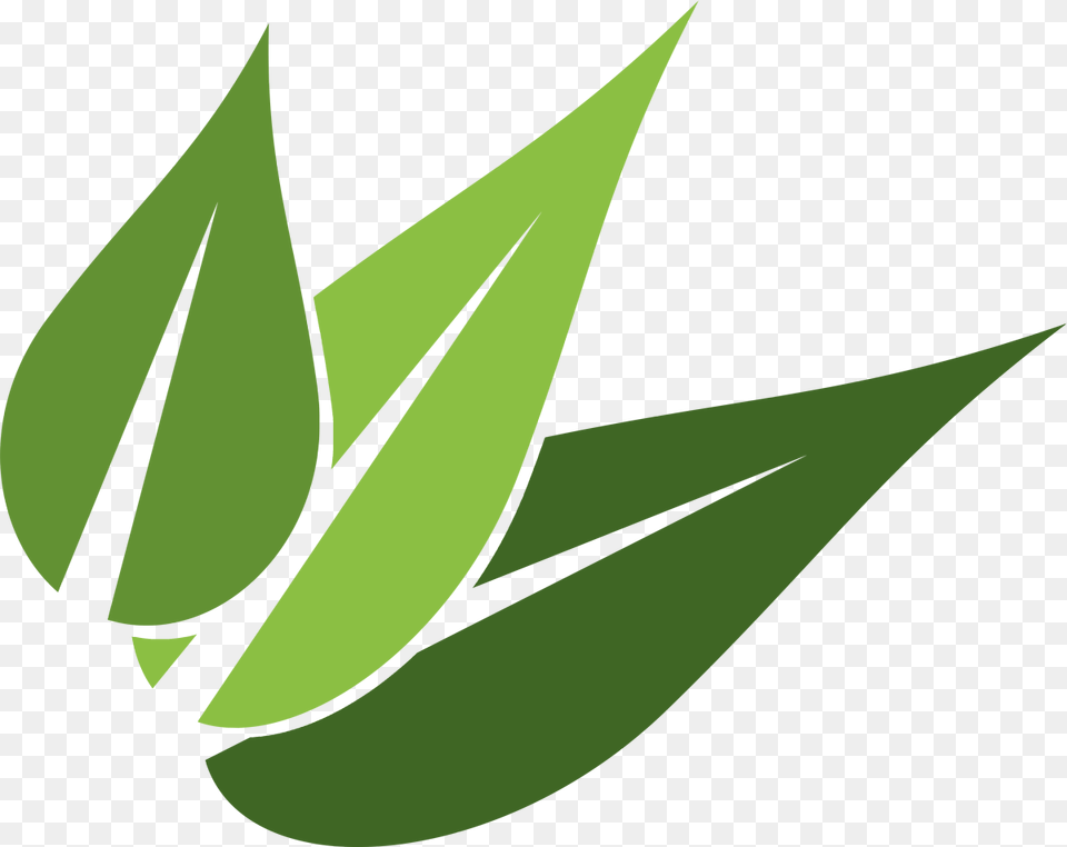 Leaves Logo Leave Logo, Aloe, Plant, Leaf, Herbal Png Image