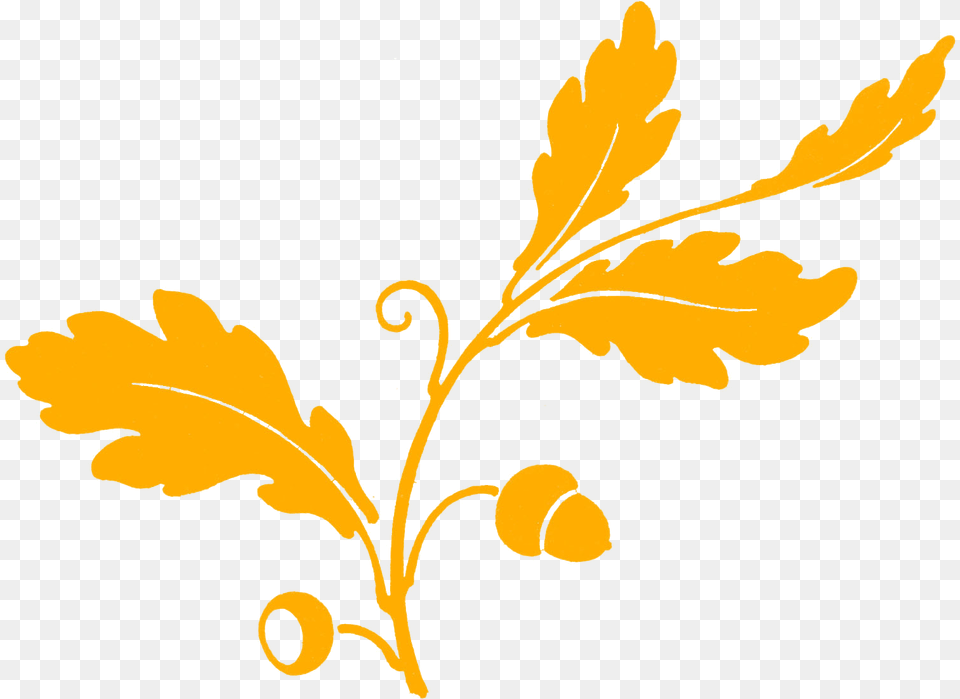 Leaves Oak Tree Silhouette Silhouette Cameo Oak Leaves Graphic Clipart, Plant, Vegetable, Produce, Nut Free Png