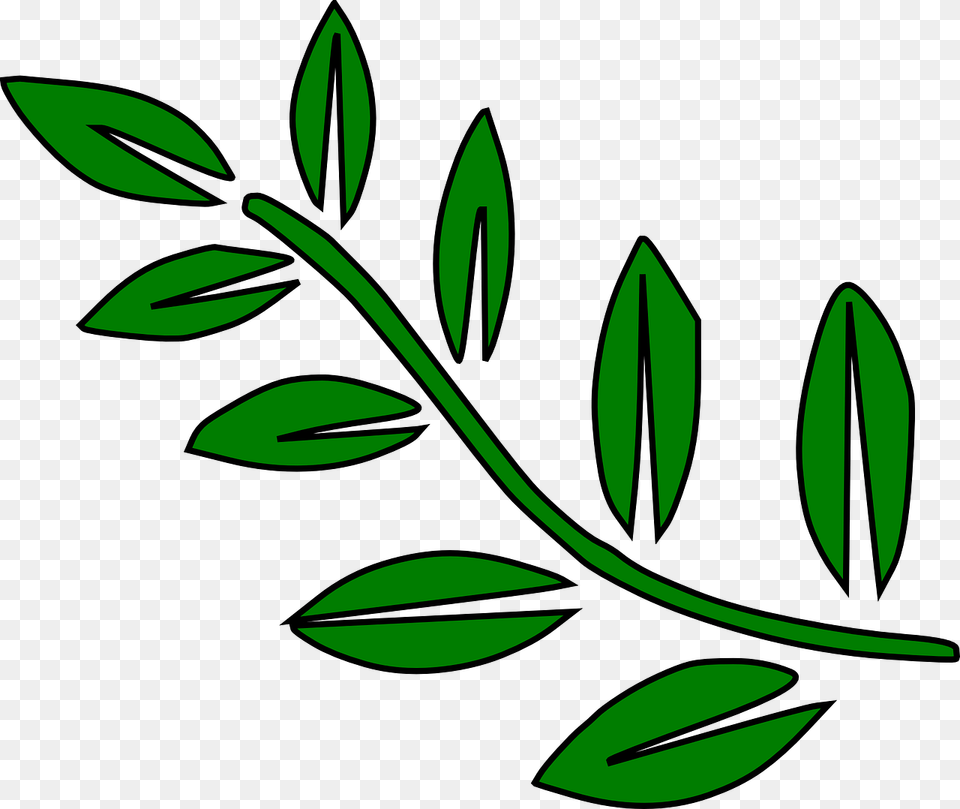 Leaves On A Branch Clip Art, Herbal, Pattern, Leaf, Herbs Png Image