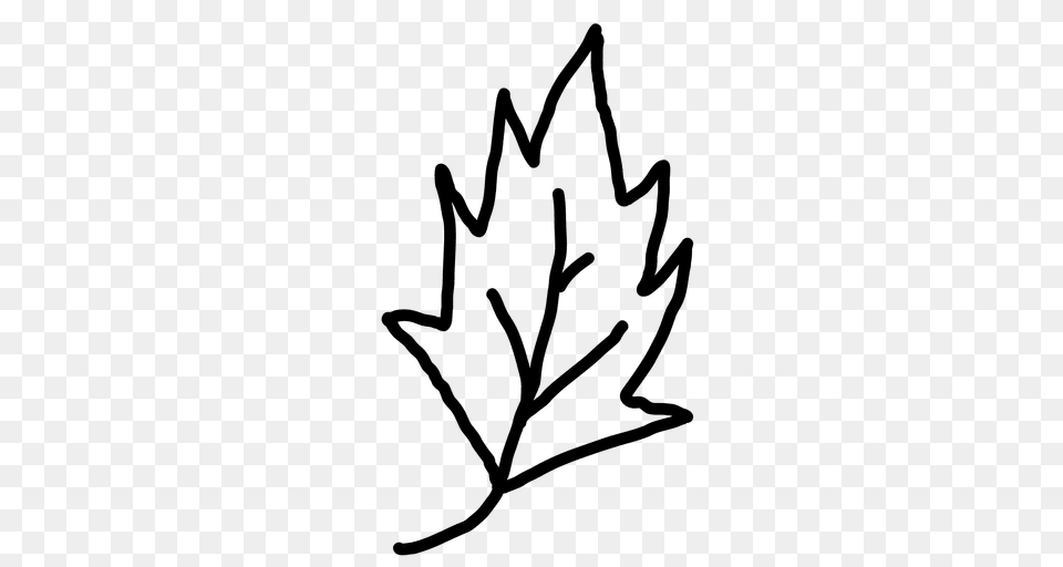 Leaves Outline, Leaf, Plant Free Transparent Png