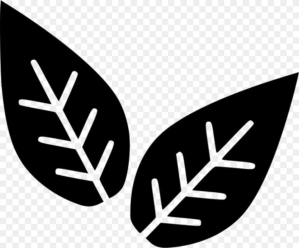 Leaves Plant Biology Transparent Biology Icon, Leaf, Stencil, Outdoors, Nature Png Image