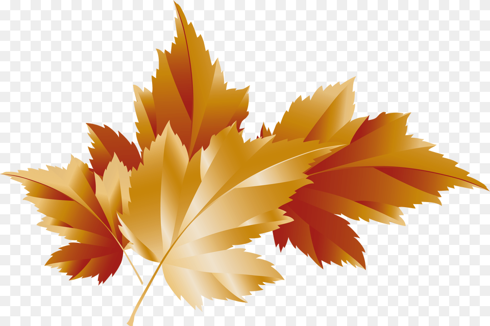 Leaves Transparent Clip Art Prihodko Woman, Leaf, Plant, Tree, Maple Leaf Free Png