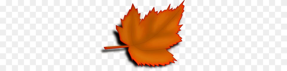 Leaves Tree Clipart Clip Art, Leaf, Plant, Maple Leaf, Dynamite Free Png Download