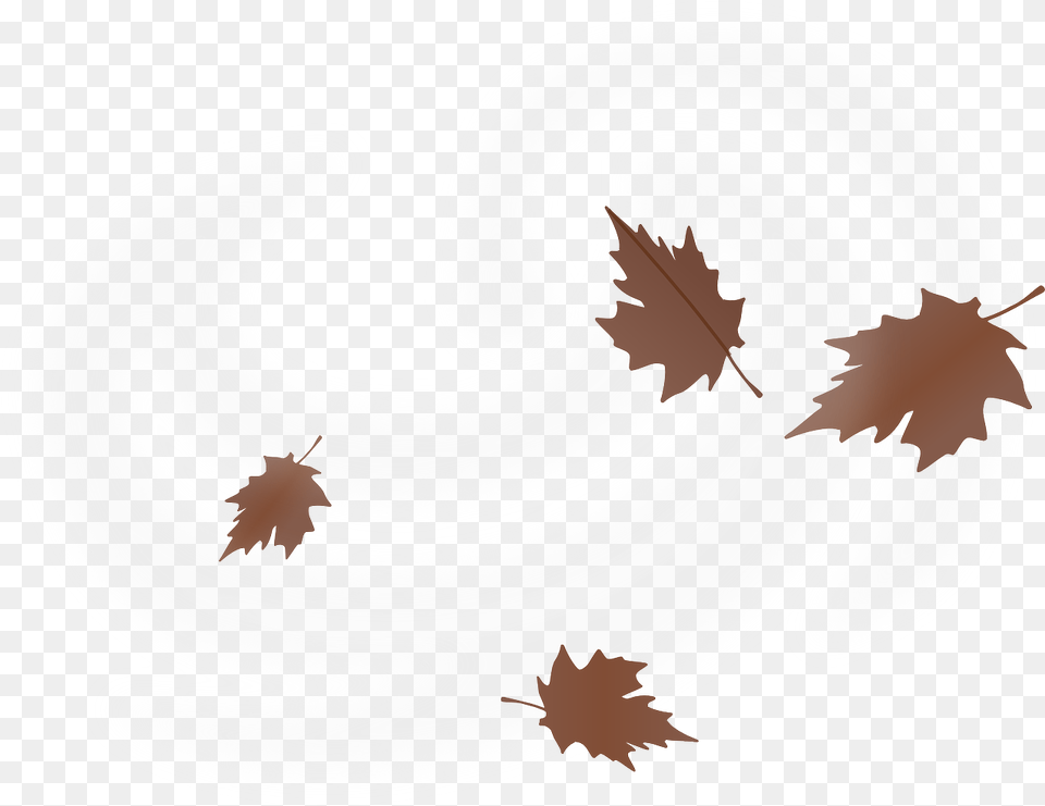 Leaves Windy Autumn Maple Free Vector Graphic On Pixabay Wind Leaf, Plant, Plate, Text Png Image