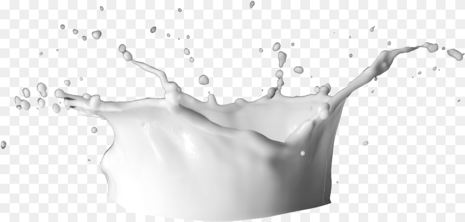 Leche Sketch, Beverage, Milk, Adult, Wedding Free Png