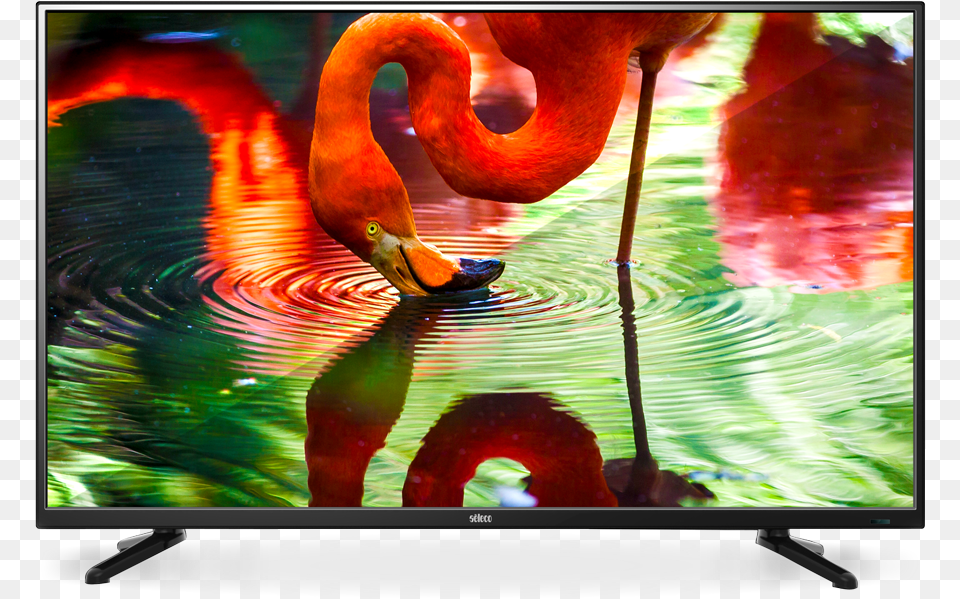 Led 32quot Fhd Tv Flamingo Handmade Samsung Galaxy S7 Zwart Tpu, Monitor, Computer Hardware, Electronics, Hardware Free Png