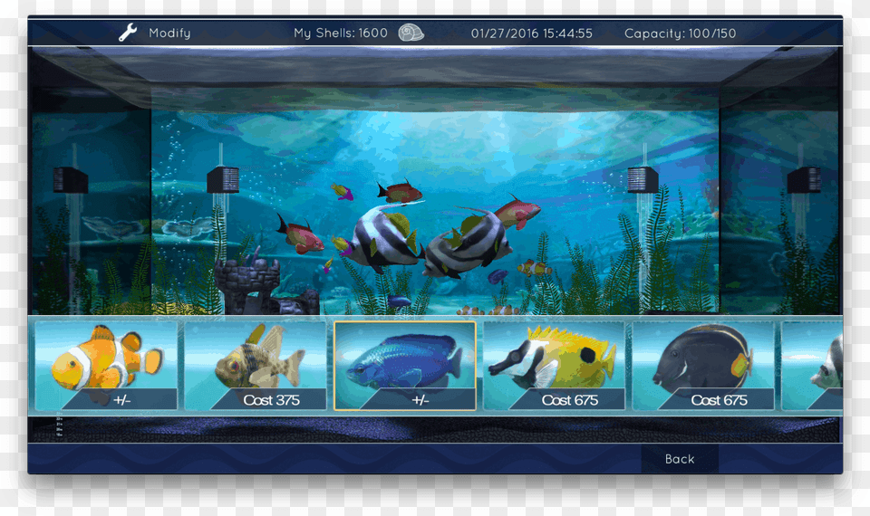 Led Screen Fish Tank, Animal, Aquarium, Sea Life, Water Free Png Download