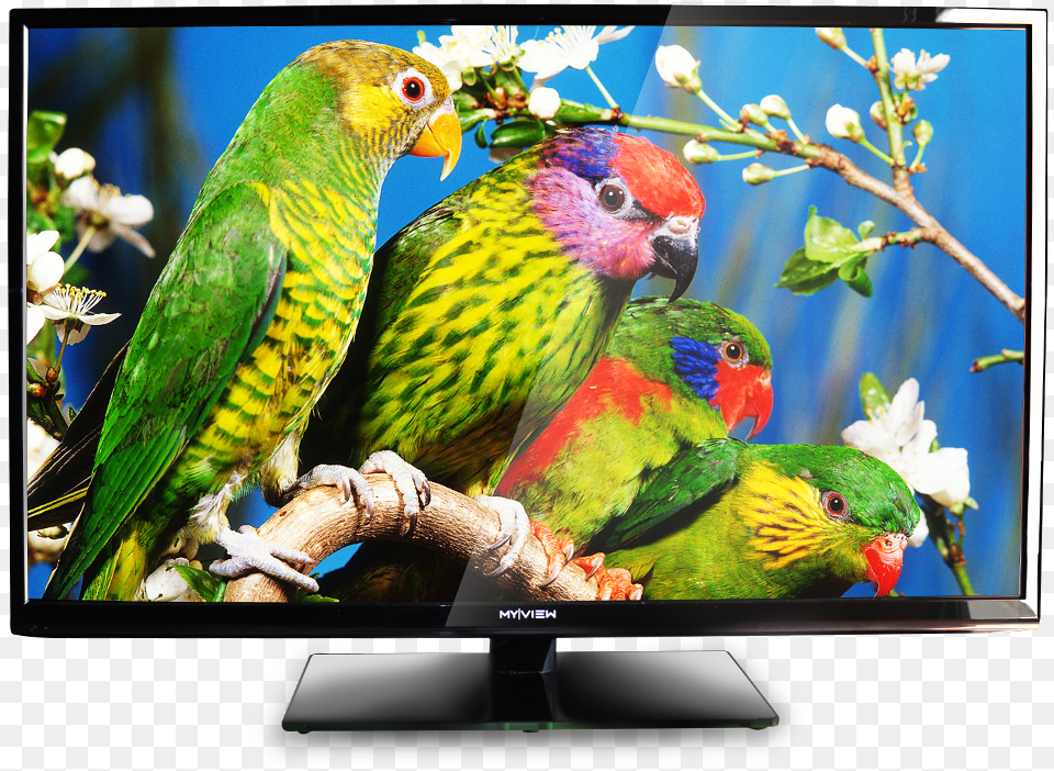 Led Television Hd Led Tv Pic, Computer Hardware, Electronics, Hardware, Monitor Free Transparent Png