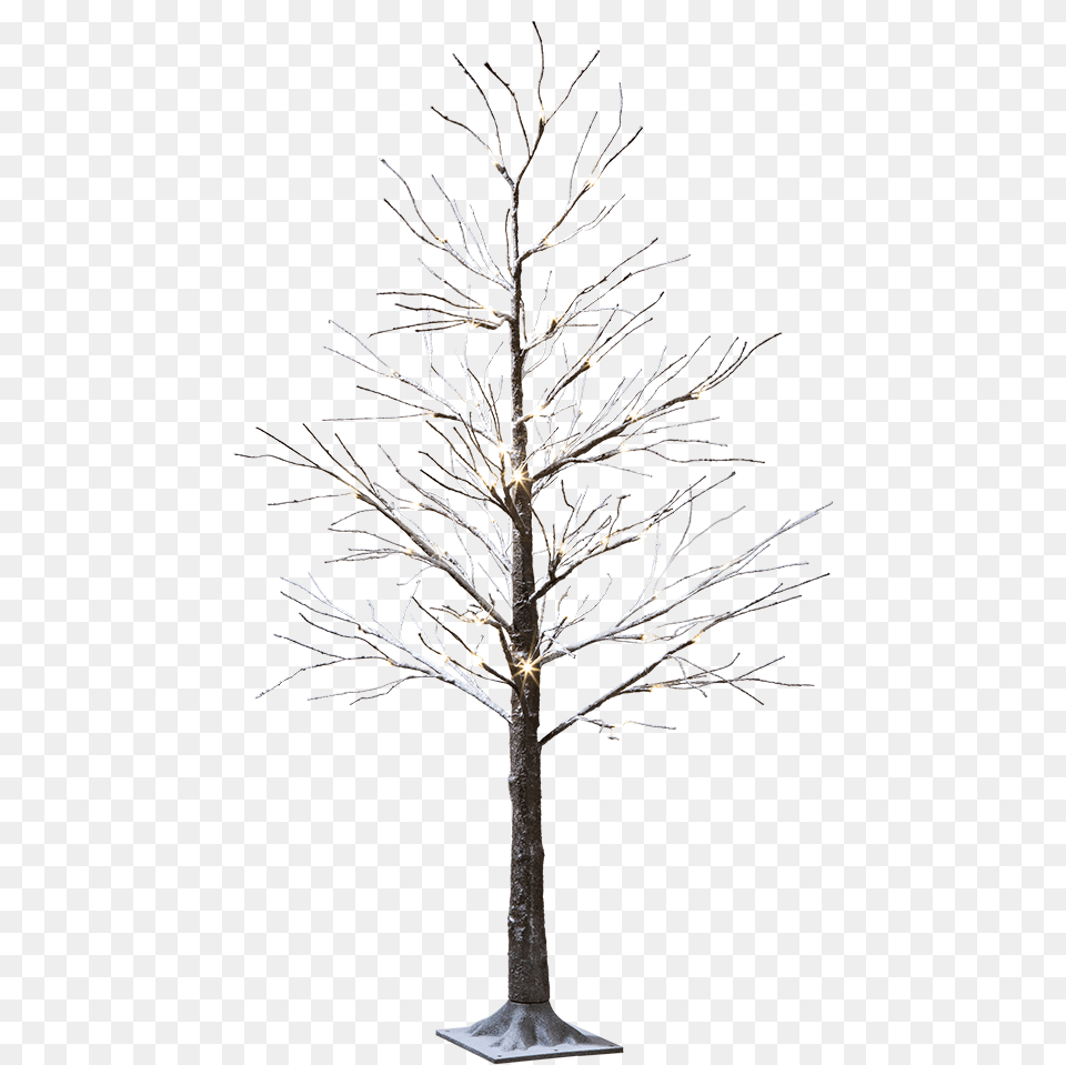 Led Tree Snowy Led Tree, Plant, Wood, Tree Trunk, Ice Free Png Download