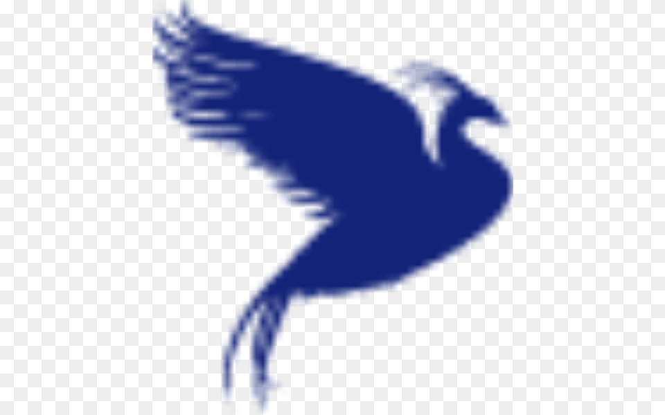 Ledar Fenix Group Bird, Animal, Person, Wildlife Png