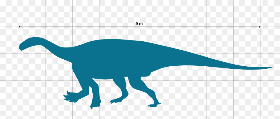 Ledumahadi Scale Chart Wip 2 Ledumahadi Mafube, Animal, Dinosaur, Reptile, T-rex Png