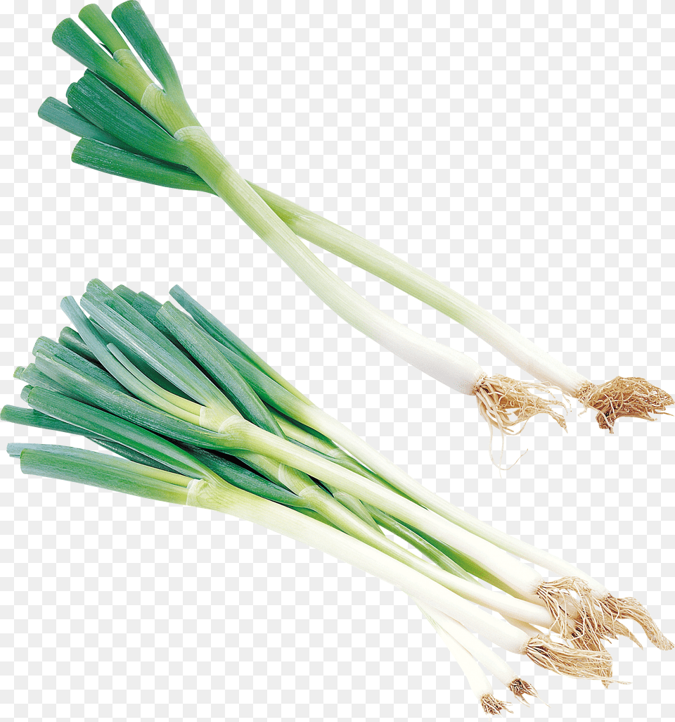 Leek, Food, Produce, Plant, Spring Onion Free Png