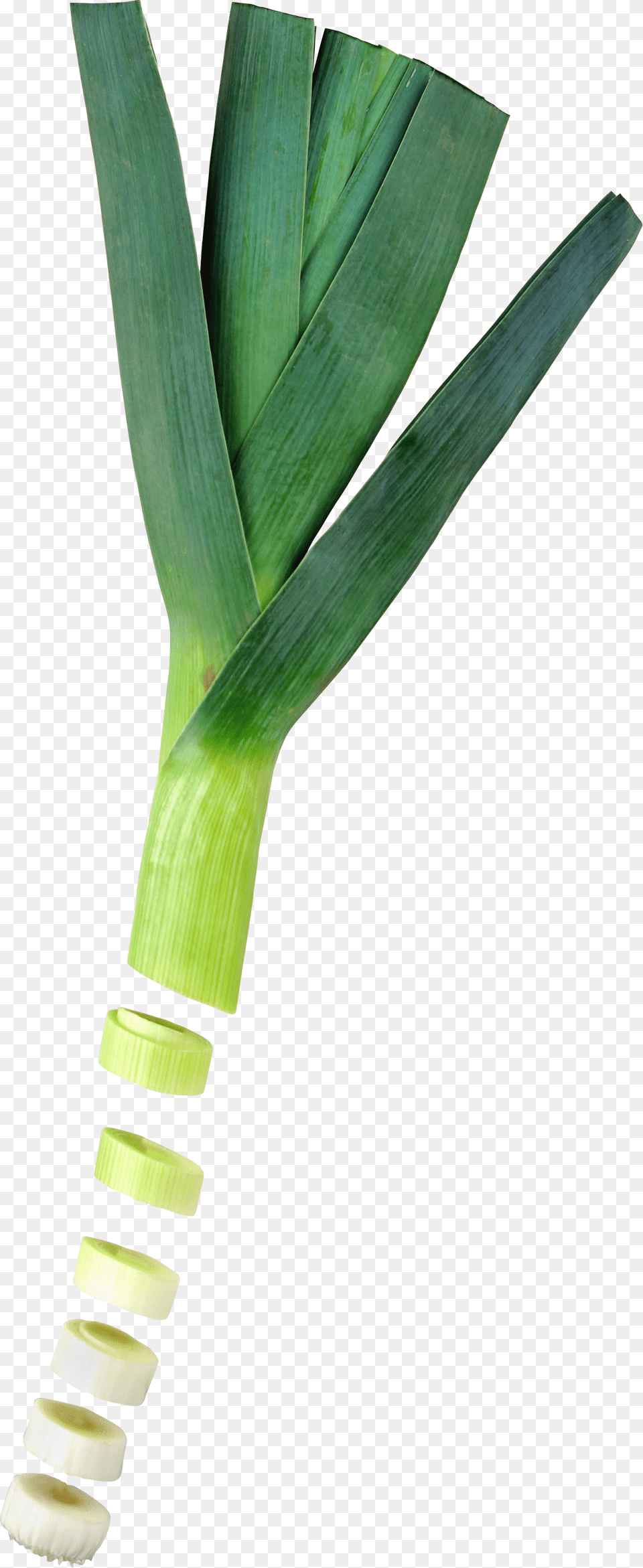 Leek, Food, Plant, Produce, Vegetable Free Png