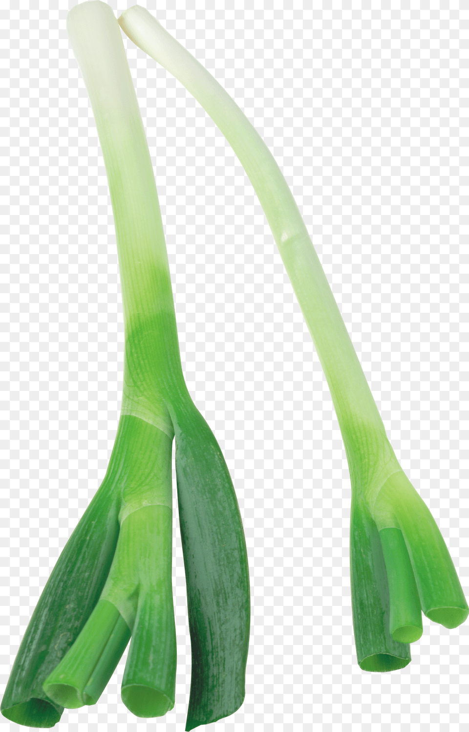 Leek, Food, Plant, Produce, Vegetable Png Image