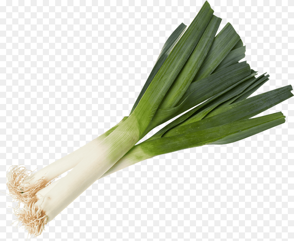 Leek, Food, Plant, Produce, Vegetable Free Transparent Png