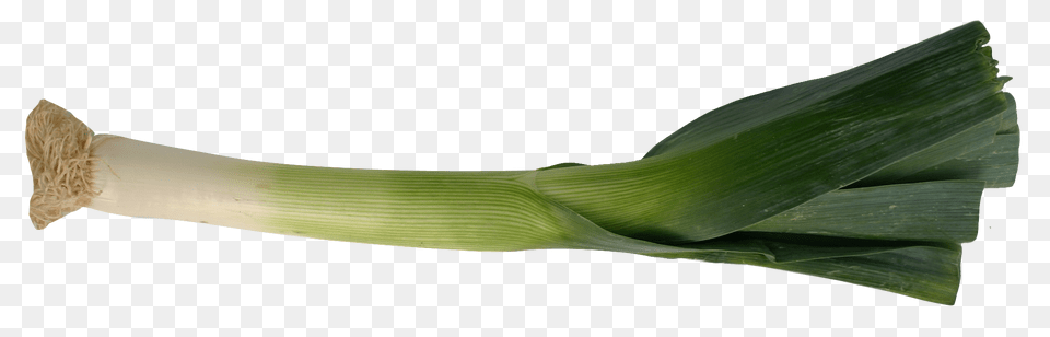 Leek, Food, Plant, Produce, Vegetable Free Png