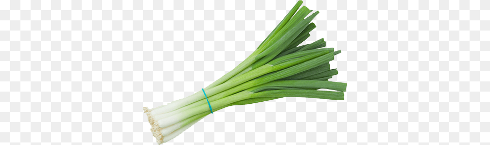 Leek, Food, Produce, Smoke Pipe, Plant Free Png