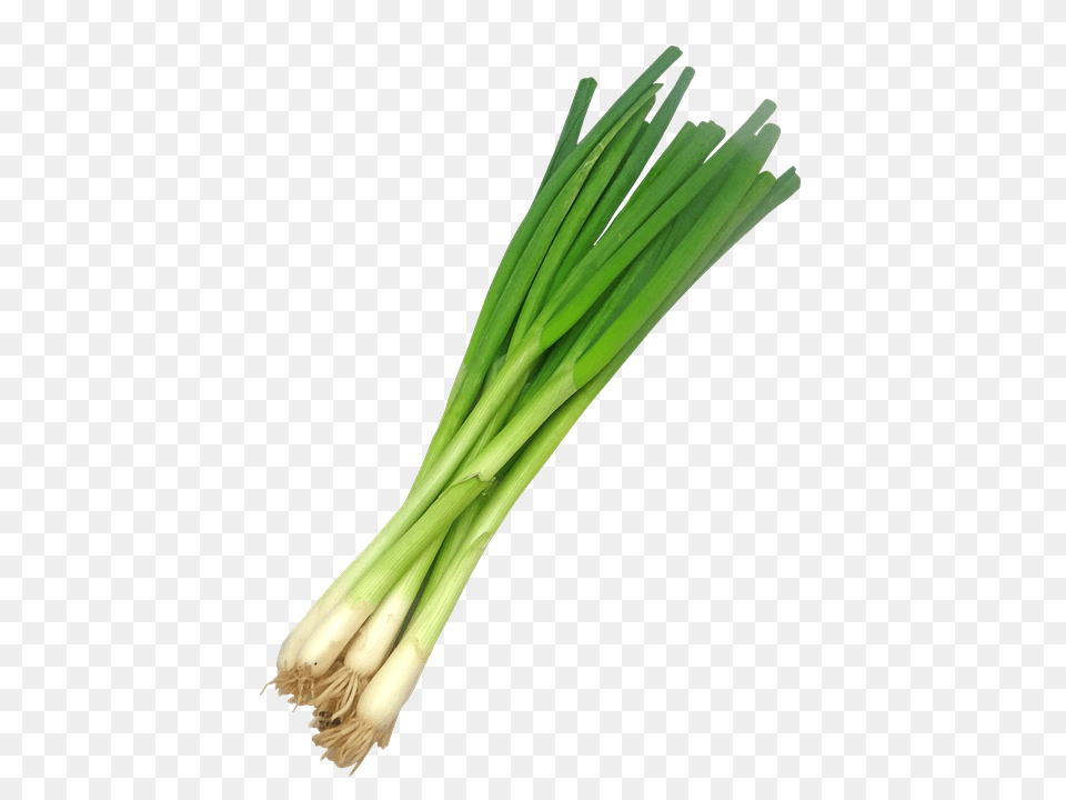 Leek, Food, Produce, Plant, Spring Onion Free Png Download