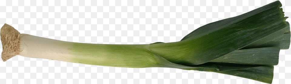 Leek, Food, Plant, Produce, Vegetable Free Png Download