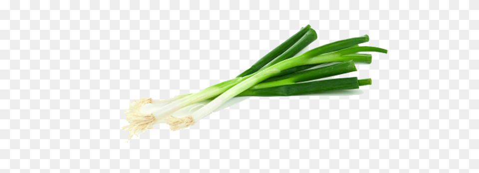 Leek, Food, Produce, Plant, Spring Onion Free Transparent Png
