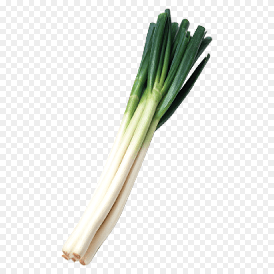 Leek, Food, Produce, Plant Free Png Download