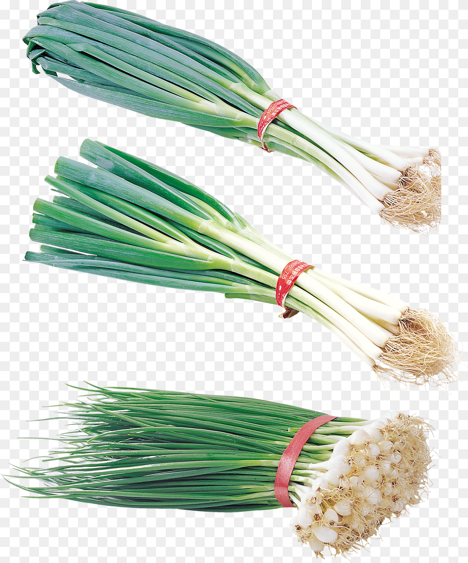 Leek Free Png Download