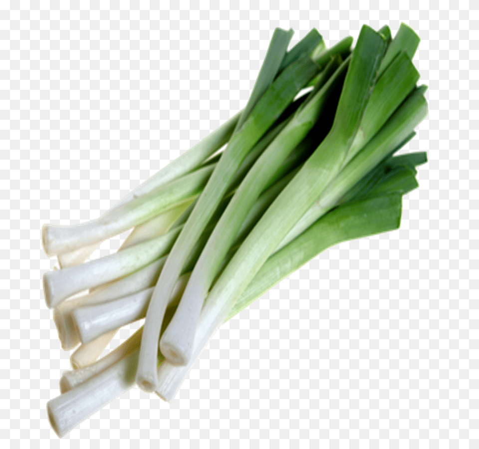 Leek, Food, Plant, Produce, Vegetable Free Png