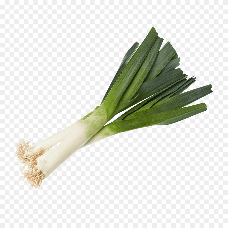 Leek, Food, Produce, Plant, Vegetable Free Png Download