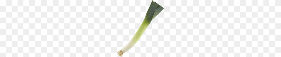 Leek, Food, Plant, Produce, Vegetable Free Png Download