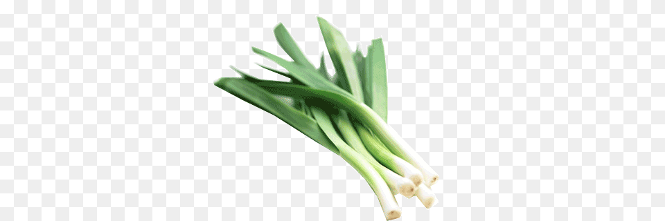 Leek, Food, Produce, Plant, Vegetable Free Png Download