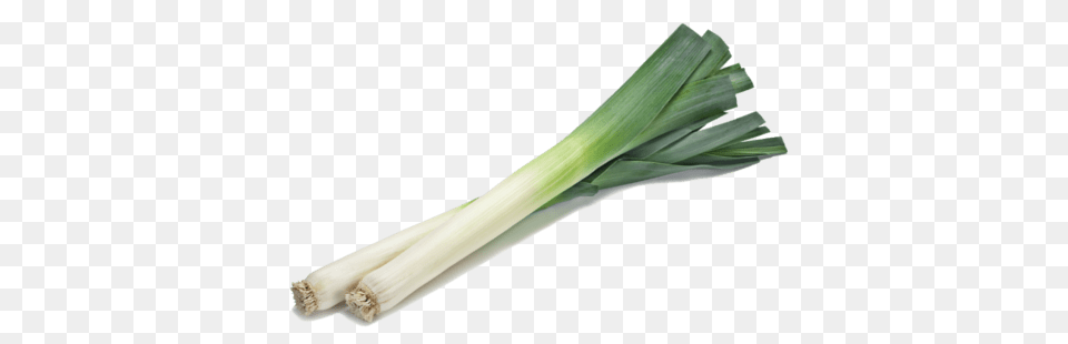 Leek, Food, Plant, Produce, Vegetable Free Png