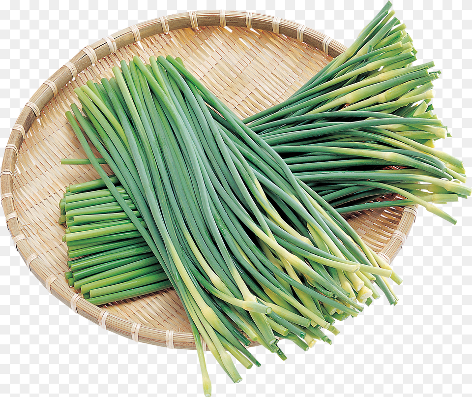 Leek Png