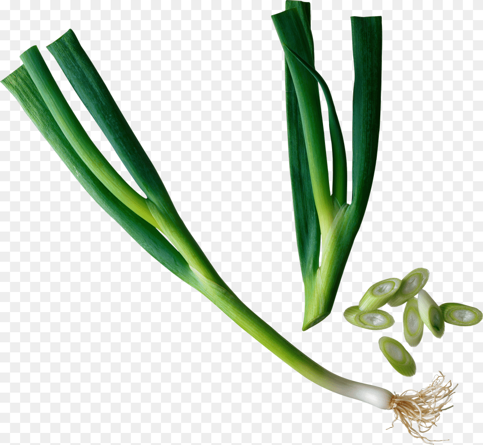 Leek, Food, Plant, Produce Png Image