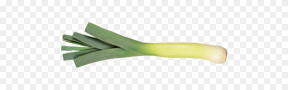 Leek, Food, Plant, Produce, Vegetable Png