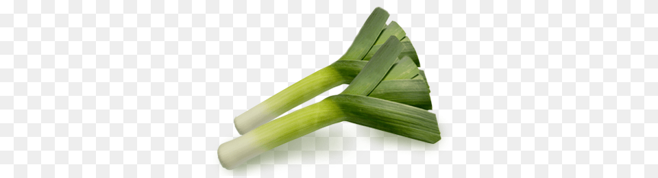 Leek, Food, Plant, Produce, Vegetable Free Transparent Png