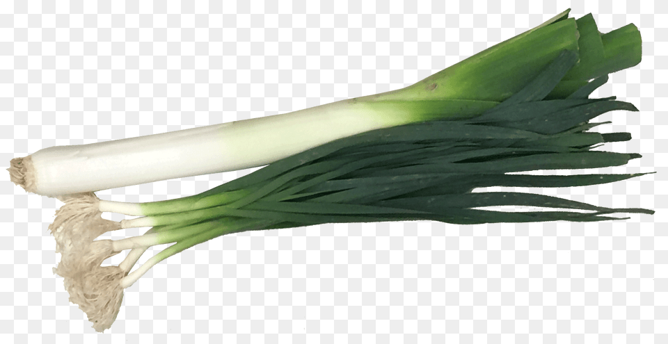 Leek, Food, Produce, Plant, Spring Onion Free Transparent Png