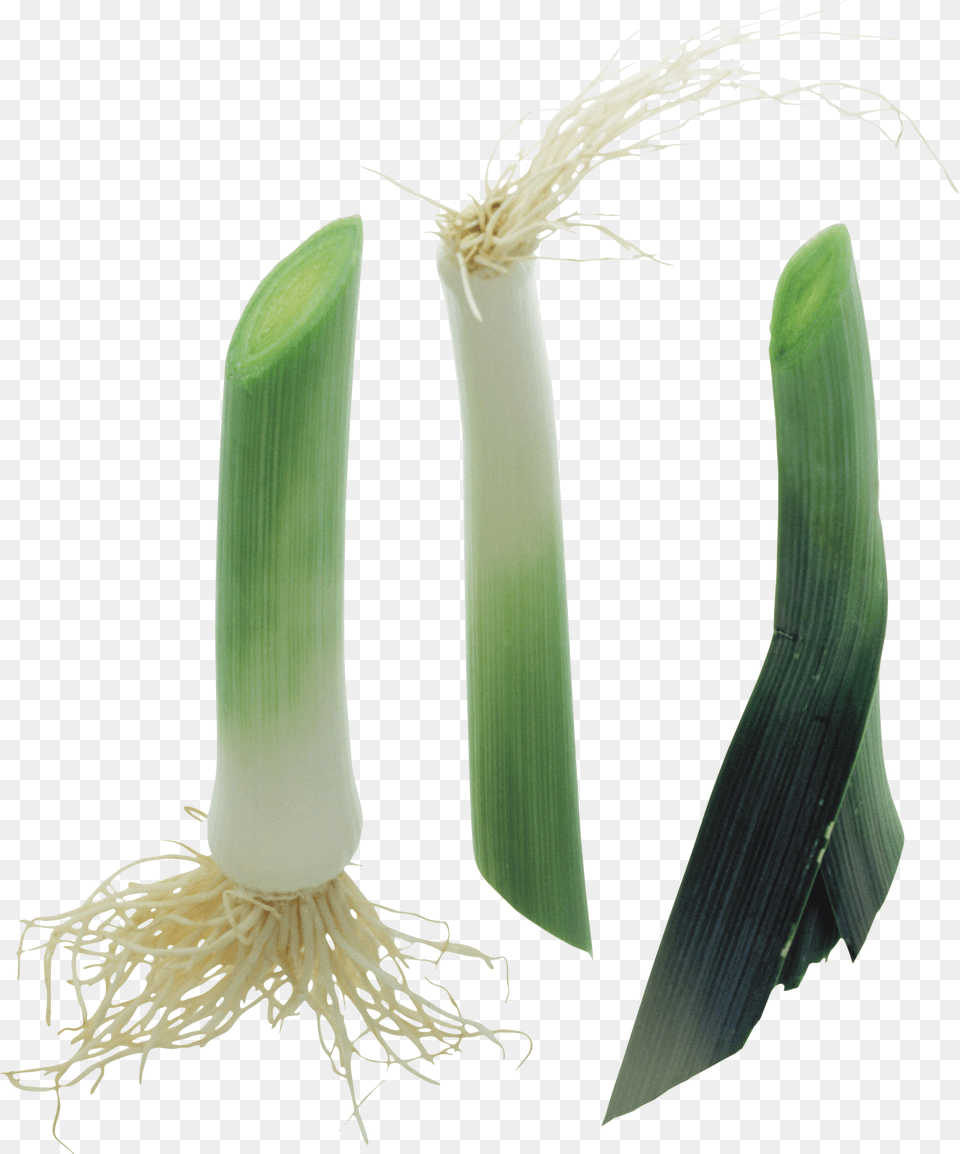 Leek, Food, Produce, Plant, Vegetable Free Png